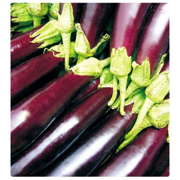 Kemer Patlıcan Tohumu Ekim Seti - Resim 5