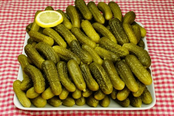 Kıtır Turşuluk Kornişon Salatalık Tohumu 10 Adet Tohum - 2