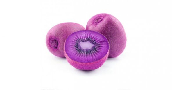 Nadir İthal Mor Kivi Ağacı Tohumu 5 Adet Tohum Purple Kivi - 3