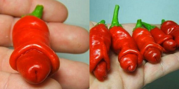 Nadir İthal Kırmızı Acı Biber Tohumu 5 Adet Tohum - Resim 3