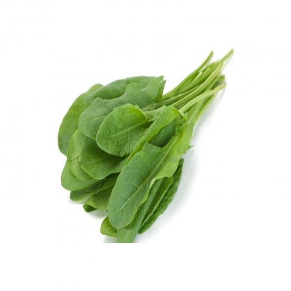 Kuzu Kulağı Koç Kulağı Ekşiotu Tohumu 100 Adet Tohum ürün görseli