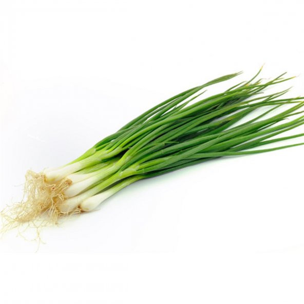 Taze Firik Yeşil Soğan Tohumu 50 Adet Tohum