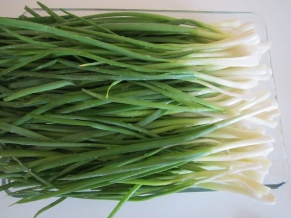 Taze Firik Yeşil Soğan Tohumu 50 Adet Tohum - 2