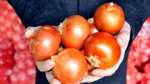 Kışlık Soğan Tohumu 100 Adet Tohum - 2