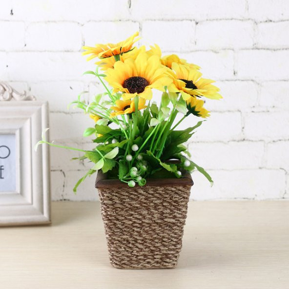 Süs Ayçiçeği Tohumu 5 Adet Tohum Çiçek Tohumu