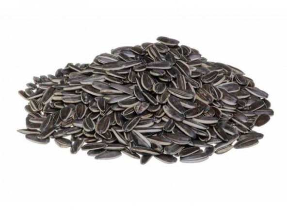 Ayçiçeği Tohumu 10 Adet Tohum Günebakan Çiğdem - 3