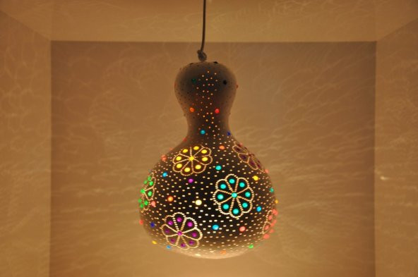 Nadir Su Kabağı Tohumu 3 Adet Tohum Süs Kabağı Tohumu - 3