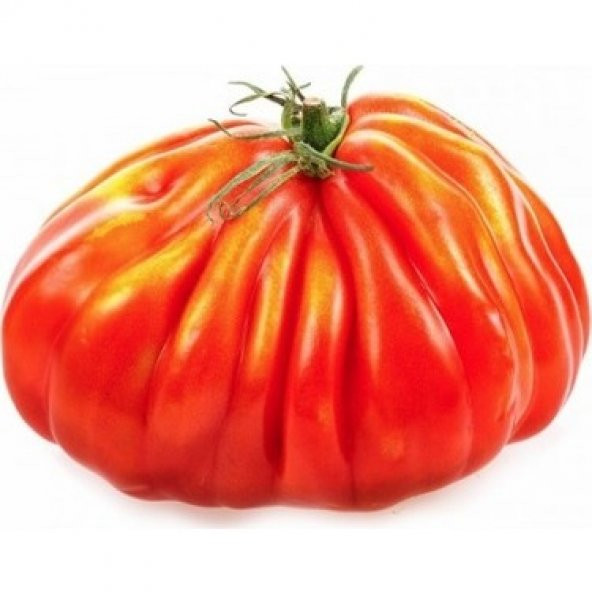 Nadir İthal Antik Domates Tohumu 10 Adet Tohum