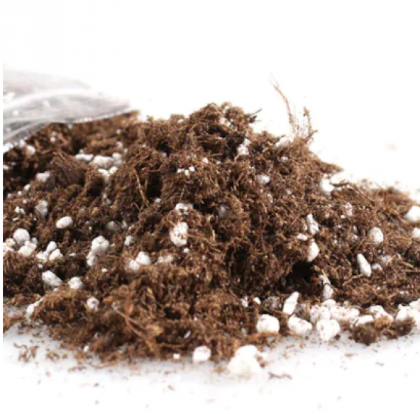 İthal Bonzai Ağacı Toprağı 1 Litre Bonsai Toprağı
