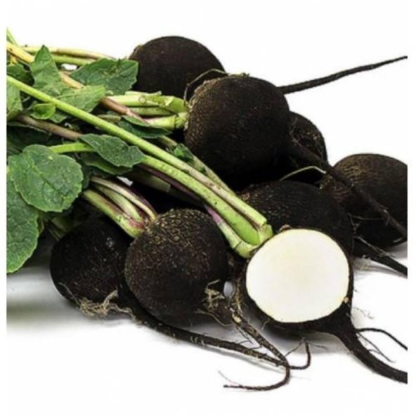 İri Siyah Turp Tohumu 50 Adet Tohum Kara Turp - 3