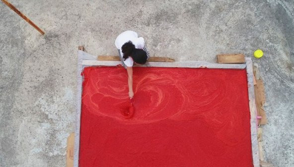 Hafif Acı Adana Karaisalı Salçalık Biber Tohumu 15 Adet Tohum Adana Biberi - 4