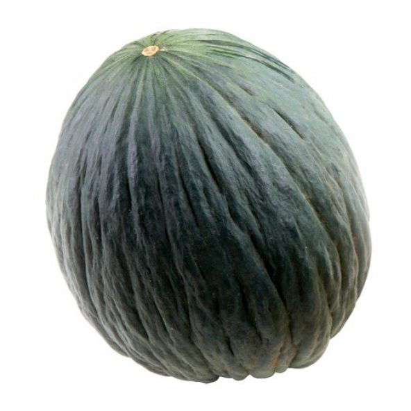 Kışlık Hasanbey Kavun Tohumu 15 Adet Tohum