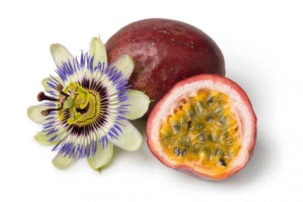Tropikal Tutku Meyvesi Tohumu 3 Adet Tohum Passion Fruit