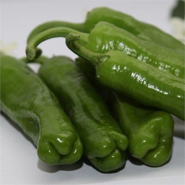 Meşhur Üç Burun Mazamort Biber Tohumu 25 Adet Tohum - 3