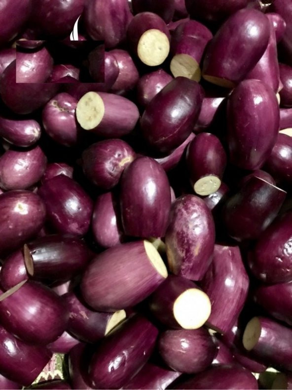 Antep Dolmalık Kurutmalık Patlıcan Tohumu 25 Adet Tohum - Resim 3