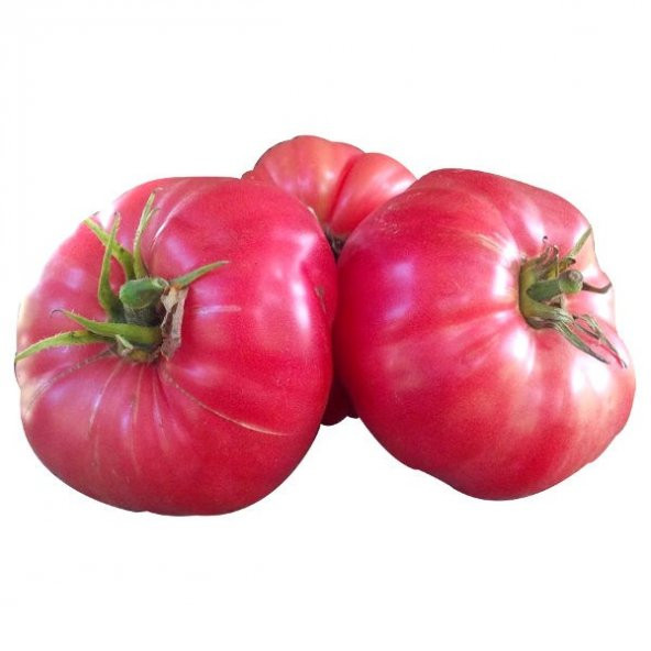 Nadir İri Pembe Domates Tohumu 10 Adet Tohum Bulgar Domatesi