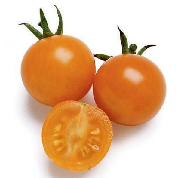 Ithal Nadit Cherry Turuncu Domates Tohumu 10 Adet Tohum ürün görseli