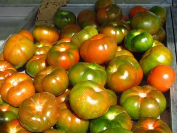 Yayla Domatesi Tohumu 15 Adet Tohum Alacalı Domates Tohumu - Resim 2