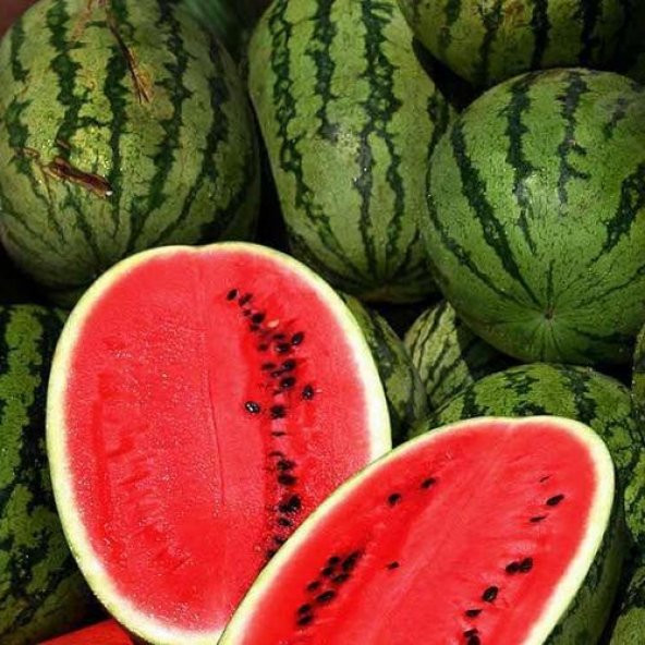 Meşhur Diyarbakır Karpuzu Tohumu 5 Adet Tohum Karpuz Tohumu - 2