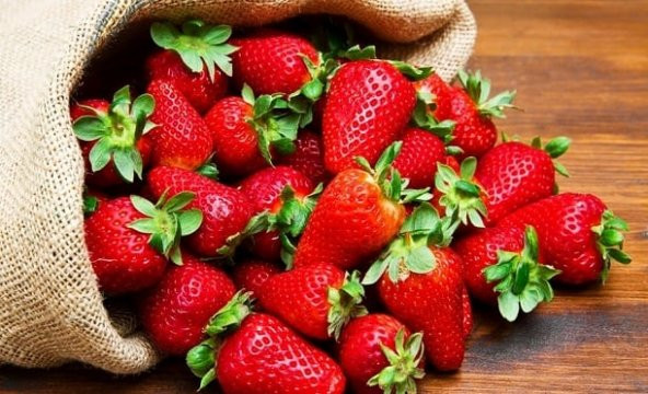 4 Mevsim Yediveren Çilek Tohumu 10 Adet Tohum Saksılık Çilek - 3