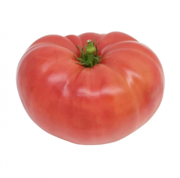 Nadir İri Pembe Domates Tohumu 10 Adet Tohum Bulgar Domatesi - 4