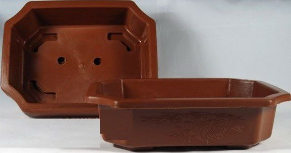 3lü Bonsai Ağacı Ekim Kayısı Portakal Nar Bonzai Ağacı Tohumu Kombin - 2