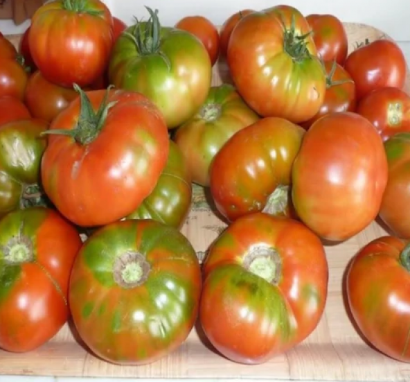 Yayla Domatesi Tohumu 15 Adet Tohum Alacalı Domates Tohumu - Resim 3