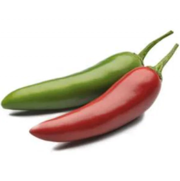 Süper Paket 100 Adet Tohum İthal Çok Acı Jalapeno Meksika Biberi Tohumu