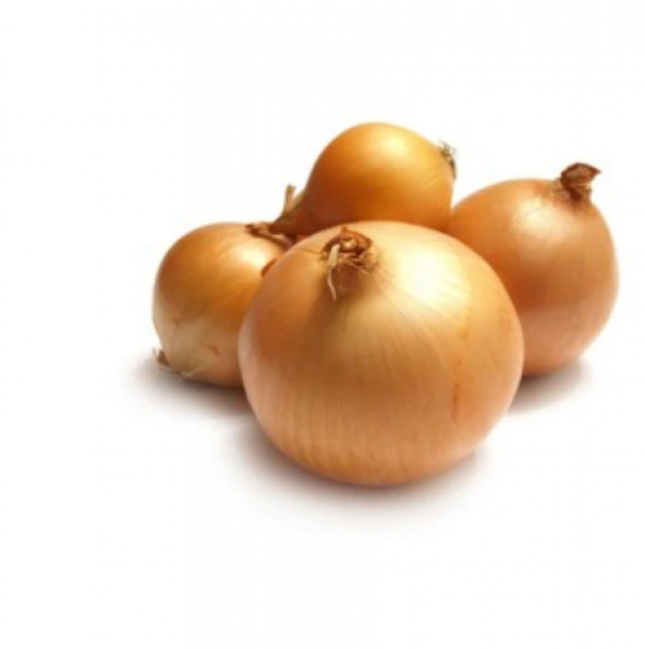 Süper Paket 2500 Adet Tohum İthal Kışlık Soğan Tohumu - Resim 2