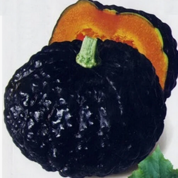 Süper Paket 50 Adet Tohum İthal Nadir Thailand Siyah Bal Kabağı Tohumu Kabak Tohumu - Resim 2