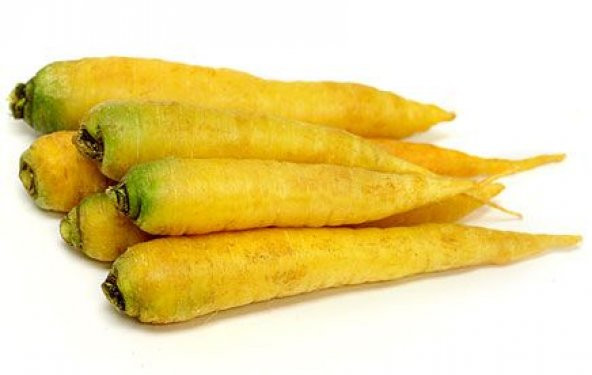 Süper Paket 100 Adet Tohum Nadir İthal Sarı Havuç Tohumu - 3