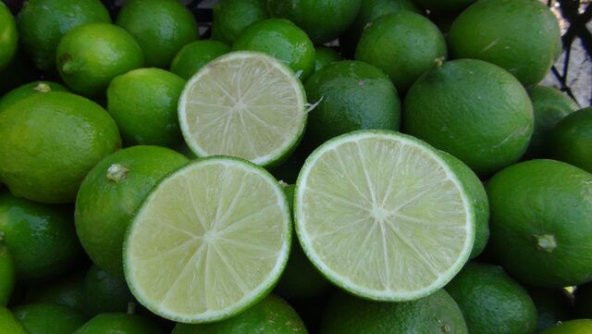 Nadir İthal Misket Limonu Lime Limon Tohumu Ekim Seti 3 Saksı Toprak Kombin - 2