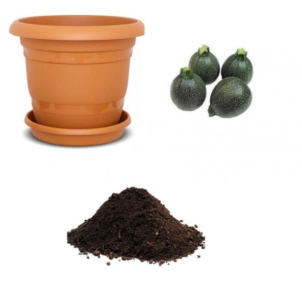 Nadir Topak Kabak Tohumu Ekim Seti