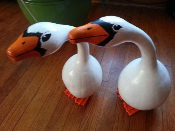 Nadir Kuğu Su Kabağı Tohumu Ekim Seti - Resim 2