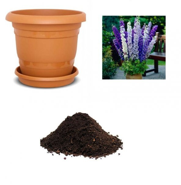 İthal Delfinyum Çiçeği Tohumu Ekim Seti