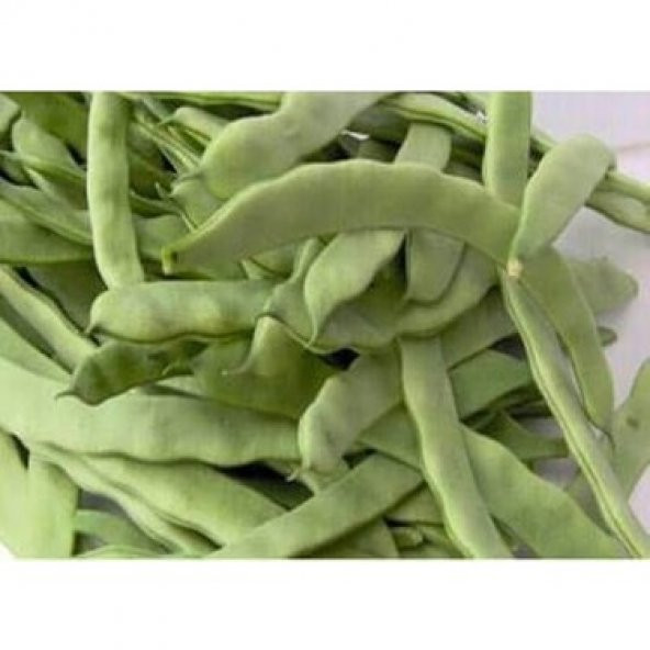 Meşhur İstanbul Ayşe Kadın Fasulye Tohumu Ekim Seti 15 Tohum Saksı Toprak Kombin - Resim 3