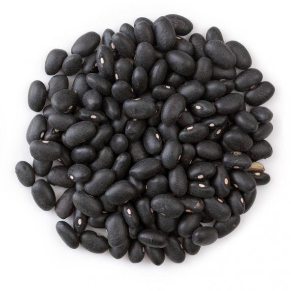 Süper Paket 150 Tohum Nadir İthal Amerika Siyah Fasulye Tohumu Kara Fasulye - 2