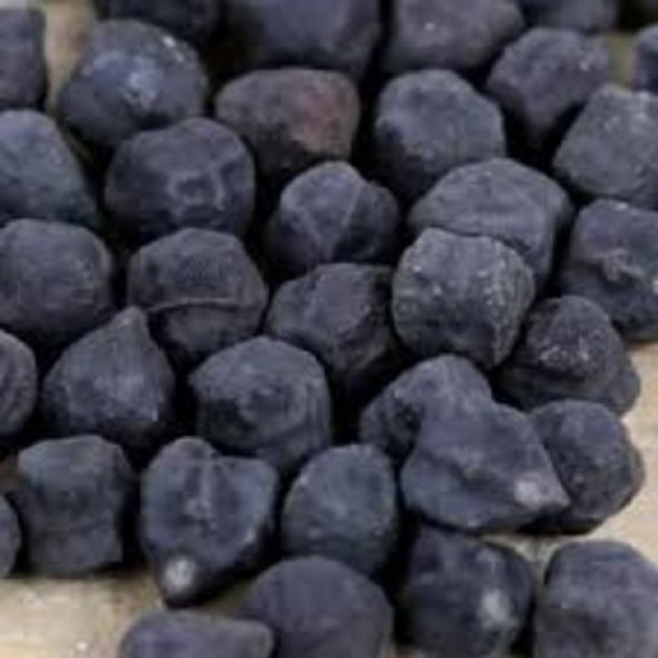 Süper Paket 100 Tohum Nadir İthal Siyah Nohut Tohumu Kara Nohut - 3