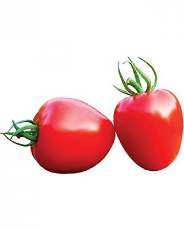 Nadir İthal Tomatoberry Çilek Domatesi Tohumu Domates Tohumu 5 Tohum