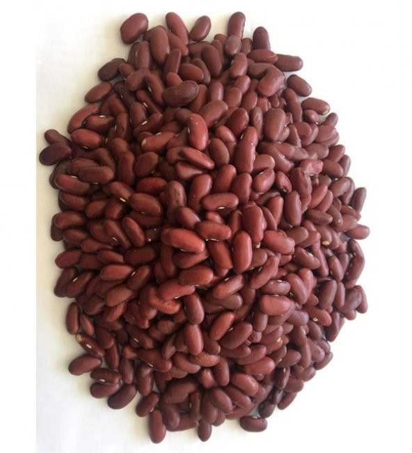 Nadir İthal Kırmızı Meksika Fasulyesi Tohumu 10 Tohum Fasulye Tohumu - 3