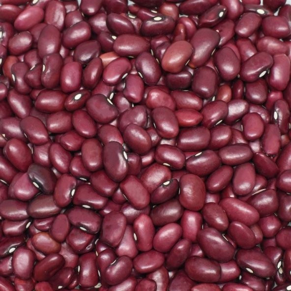 Eko Paket 75 Tohum Nadir İthal Kırmızı Meksika Fasulyesi Tohumu Fasulye Tohumu - 4