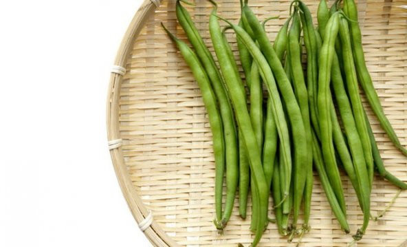 Acebek Tohumu Börülce Tohumu Faslye Tohumu Ekim Seti 15 Tohum Saksı Toprak Kombin - 3