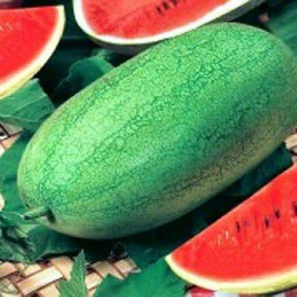 Çarliston Gray Karpuz Tohumu 3 Tohum - Resim 2