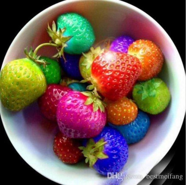 Saksılık Nadir İthal 9 Farklı Renkte Çilek Tohumu 18 Tohum - Resim 3