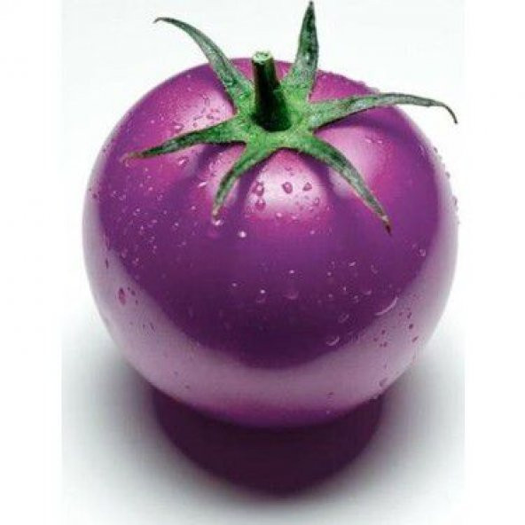 Nadir İthal Mor Domates Tohumu Ekim Seti 5 Tohum Saksı Toprak Kombin ürün görseli