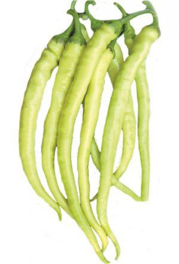 Süper Paket 300 Tohum Acı Golden Cayenne Biber Tohumu Sarı Sivri Biber