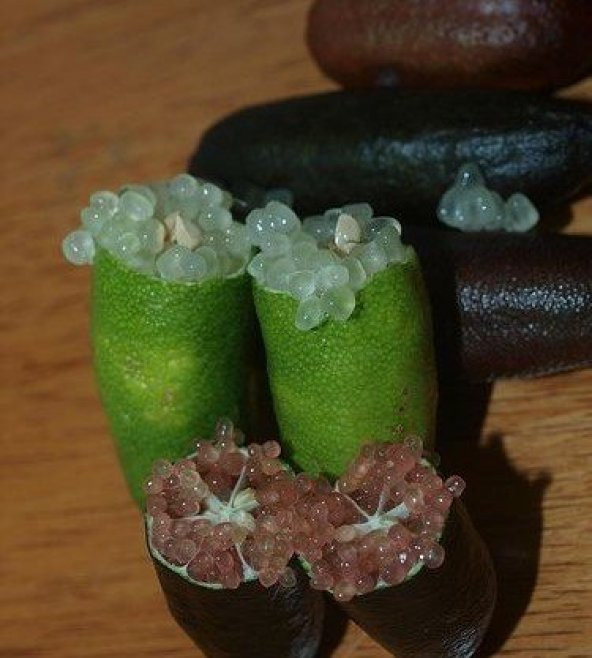 Nadir İthal Parmak Limon Tohumu Ekim Seti 3 Tohum Saksı Toprak Kombin - Resim 4