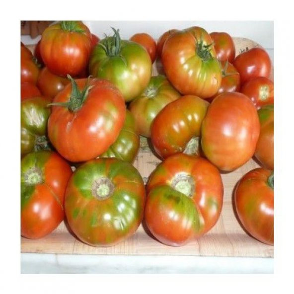 Mis Kokulu Yayla Domatesi Tohumu Ekim Seti Domates Tohumu 15 Tohum Saksı Toprak Kombin - 3