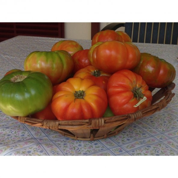 Mis Kokulu Yayla Domatesi Tohumu Ekim Seti Domates Tohumu 15 Tohum Saksı Toprak Kombin - 4