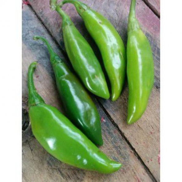 Nadir Balık Biber Tohumu Ekim Seti 10 Tohum Balık Biberi Tohumu Saksı Toprak Kombin - 2